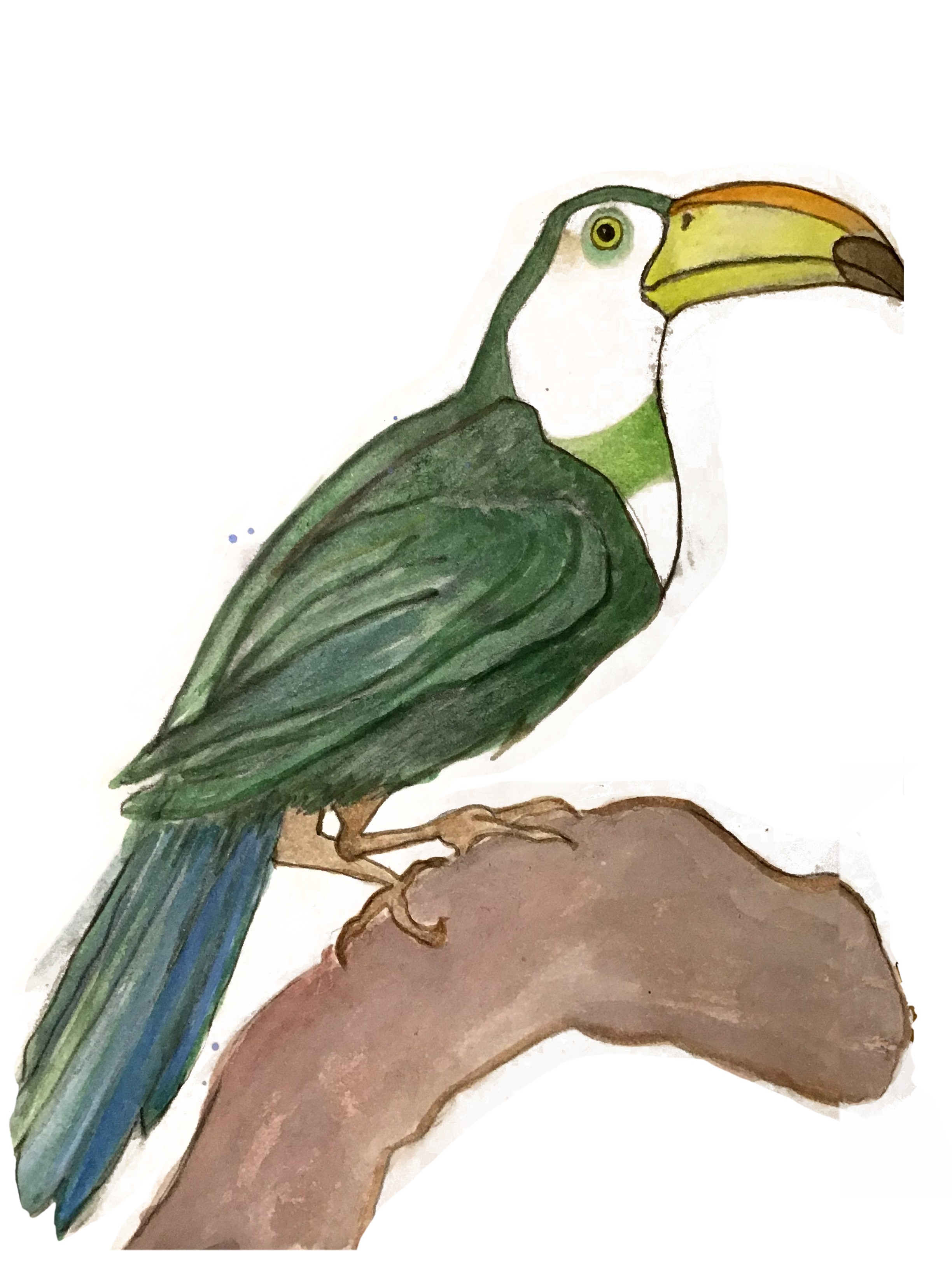 Illustration Tukadu